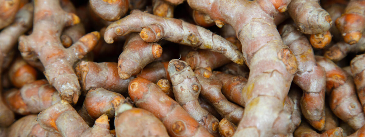 2A7C4GP close up of stack fresh turmeric (Curcuma longa) root ready for nutrition in food, cosmetic, medicine and spa.